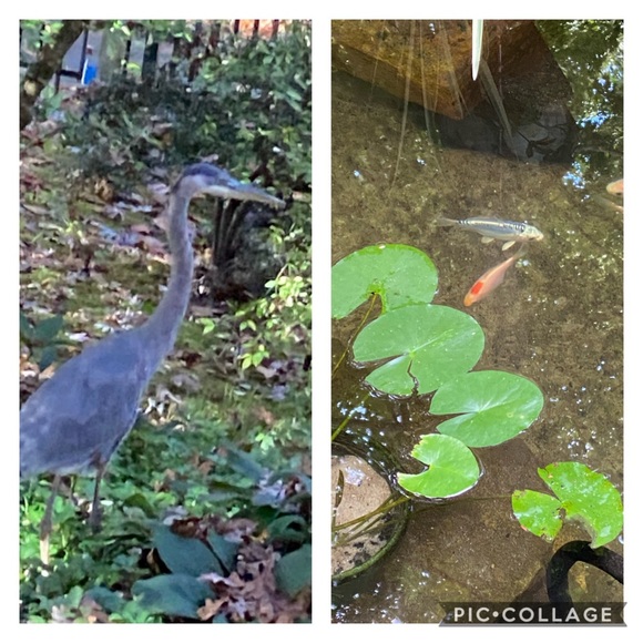 Please feel free to say hello❤️👍😊🌹🌹🌹🌹 - Picture 5 of 16